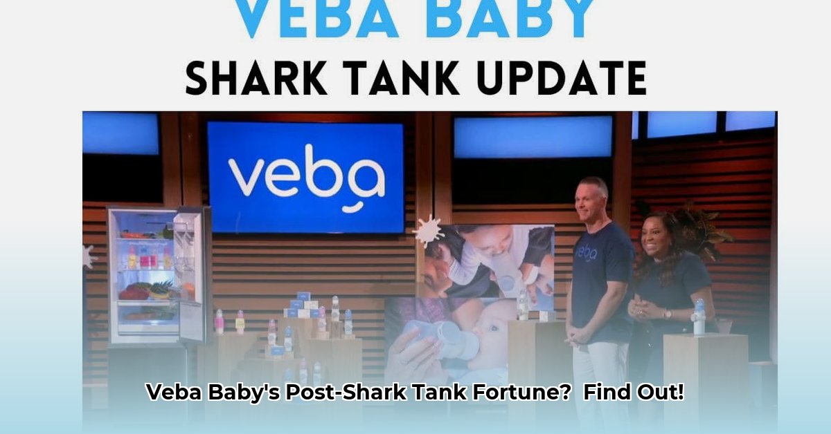 veba-baby-net-worth